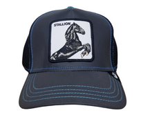 Cargar imagen en el visor de la galería, Goorin Bros Stallion Reflectiva
